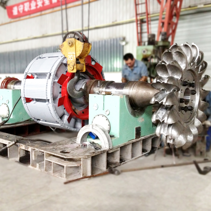 Ölkühlung Pelton-Turbinengenerator Pelton-Turbinenstromgenerator mit Gusseisenkörper