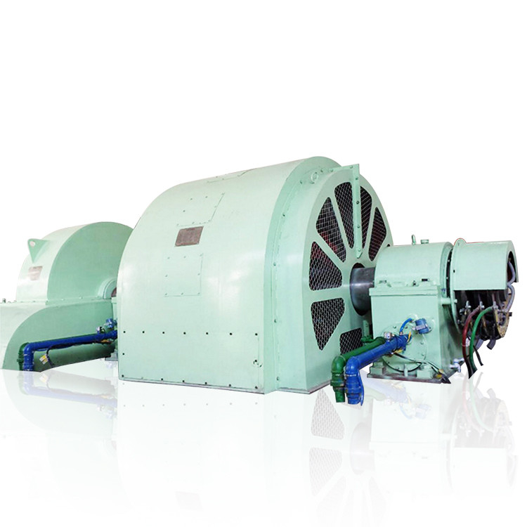 100 kW-50 MW Pelton-Typ Turbinengenerator mit Edelstahlkonstruktion