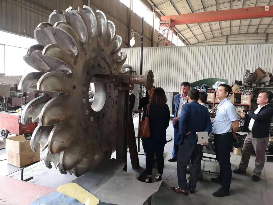 Ölkühlung Pelton-Turbinengenerator Pelton-Turbinenstromgenerator mit Gusseisenkörper