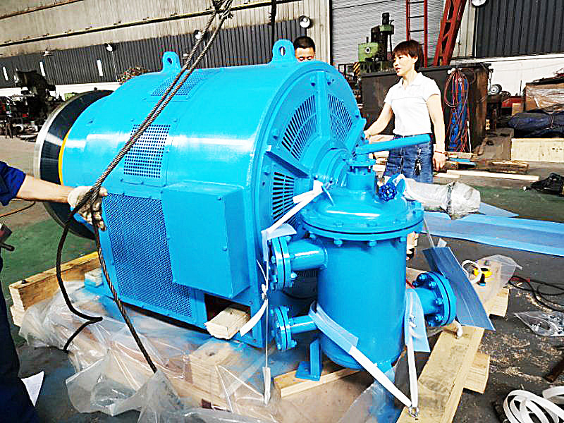 Vertikaler Wasserturbinengenerator 200kw-20mw Leistungsausgabe Nennfrequenz 50Hz/60Hz angepasste Farbe Luft/Wasser