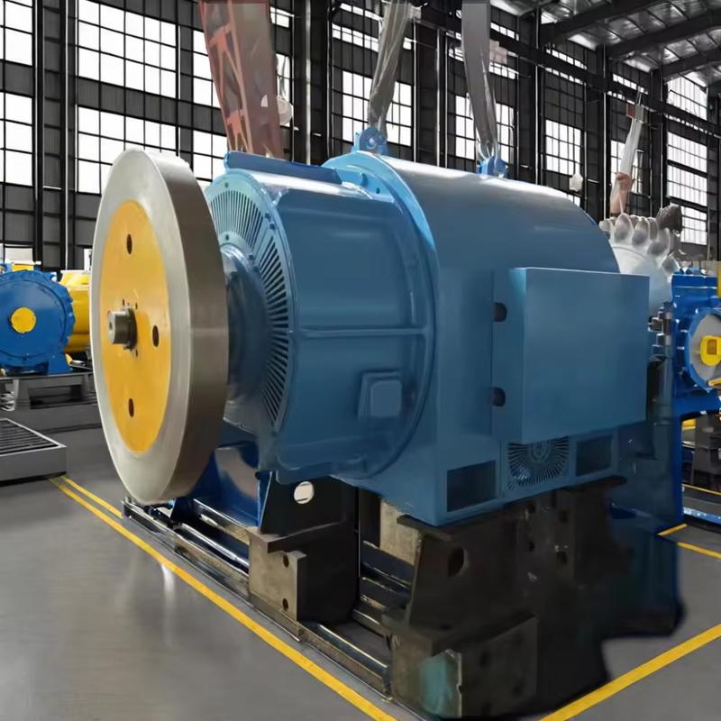 5T-50T kundenspezifischer Pelton-Turbinengenerator mit Luftölkühlung und Thyristor-Erregung