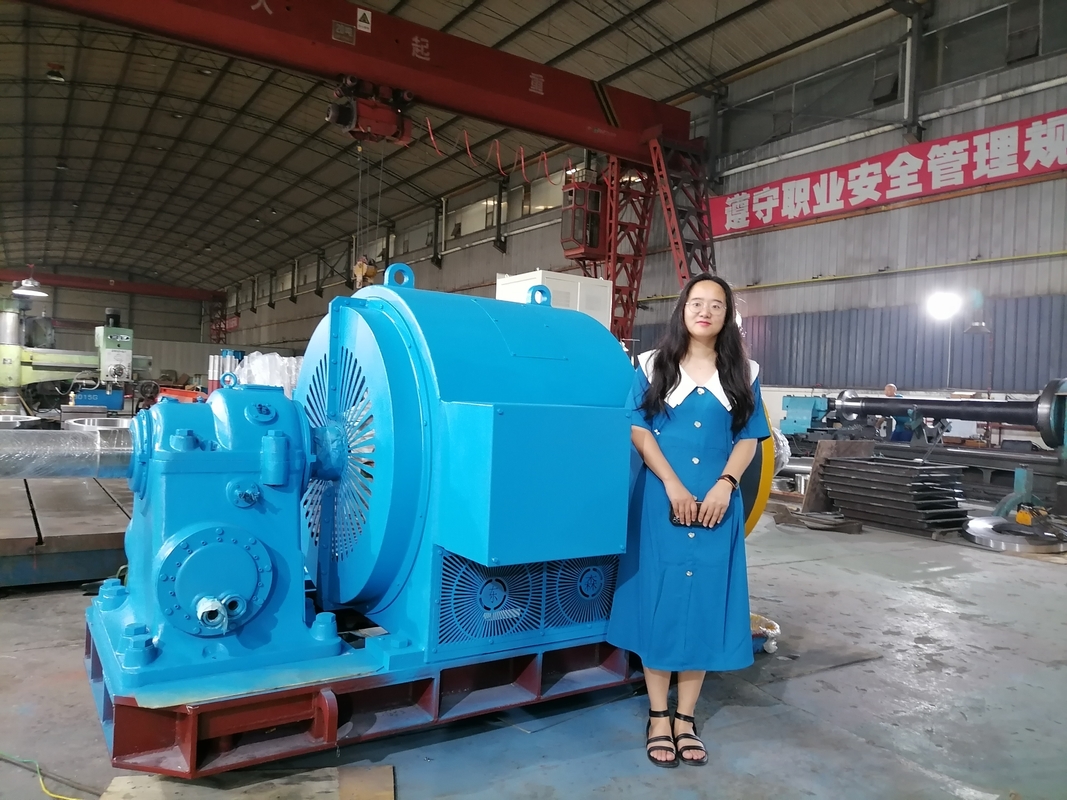 Vollautomatische Steuerung Horizontale kleine Wasser-Wasser-Turbinen-Generator mit statischer Silizium-Erregung