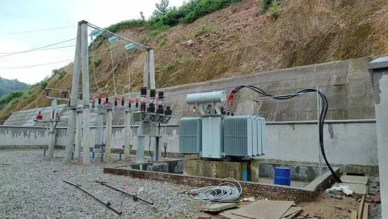 angepasster farbiger vertikaler Wasserturbinengenerator mit statischem Silizium-Erregungsmodus