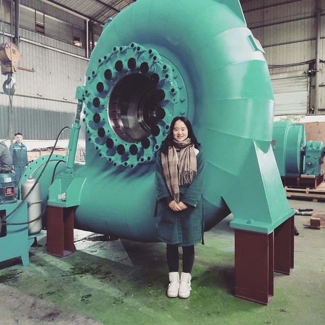 Vertikaler/horizontal Bürstenloser 50Hz/60Hz-Wasserturbinengenerator mit automatischer Manualsteuerung