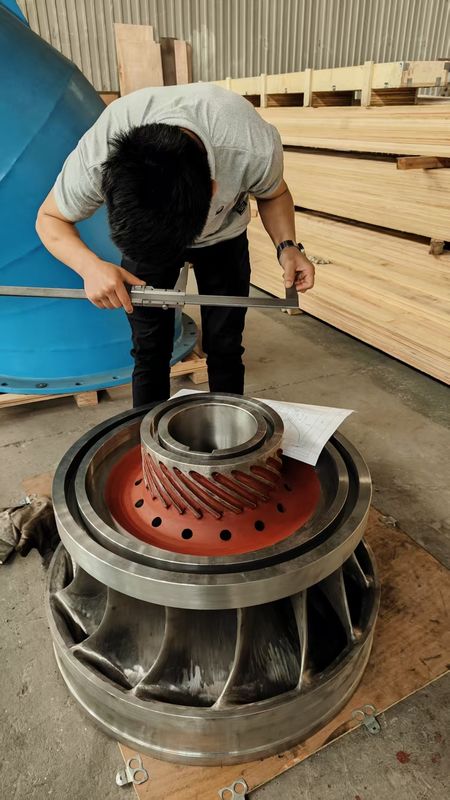 Hydroelektrische Turbine mit individueller Blattlänge für erneuerbare und umweltfreundliche Energie von 200 kW bis 20 MW