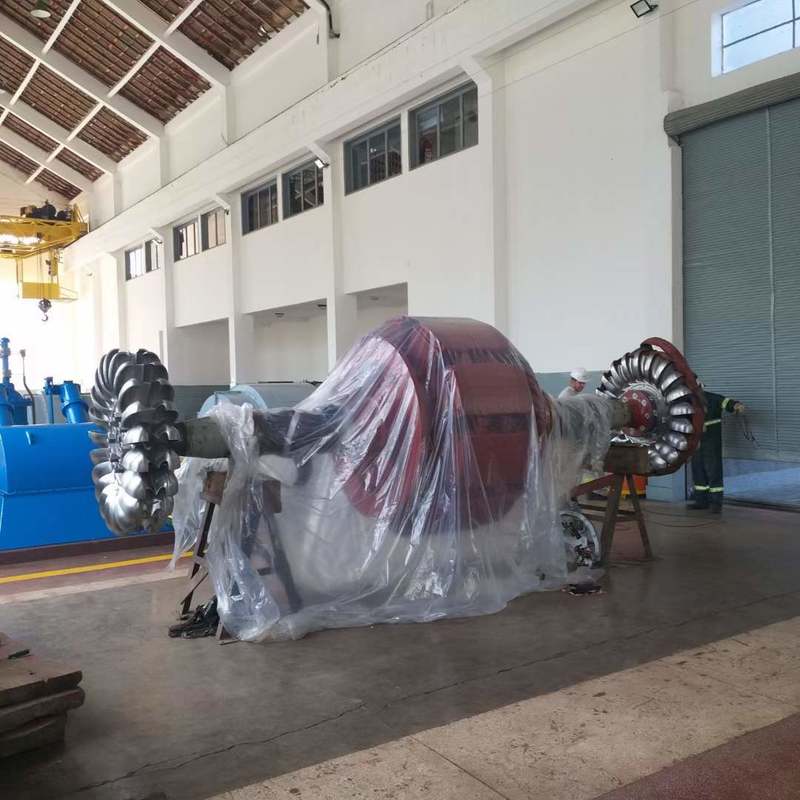 Umweltfreundliche Pelton-Turbinen-Generatoren | Langlebige Wasserkraftanlagen für nachhaltige Energieprojekte