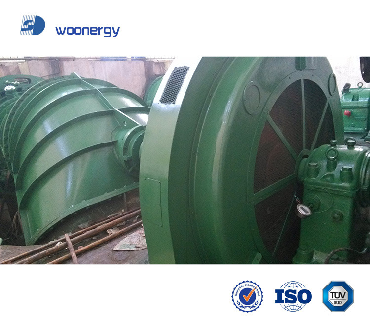 Dreiphasen-Synchron-Generator Francis-Wasserturbine mit Auslegungshöhe 20 m bis 500 m und für vertikale oder horizontale Installation