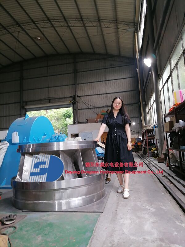 Automatischer Steuerungsmodus Francis-Turbinengenerator mit einer Geschwindigkeitsspanne von 150 bis 1000 Dreh/min und Kohlenstoffstahlvolt für die Wasserkraft