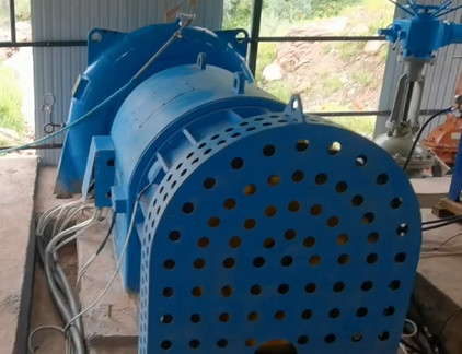 450-1000rpm Francis Hydroturbine für individuelle Ländermärkte