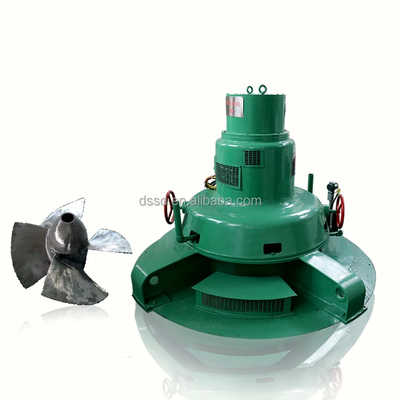 1- Kaplan Hydroturbinengenerator mit 50-60Hz Frequenz und 88-96% Wirkungsgrad