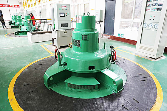 Ein spezialisierter Kaplan-Wasserkraftanlagengenerator aus Edelstahl 100 kW-20 MW